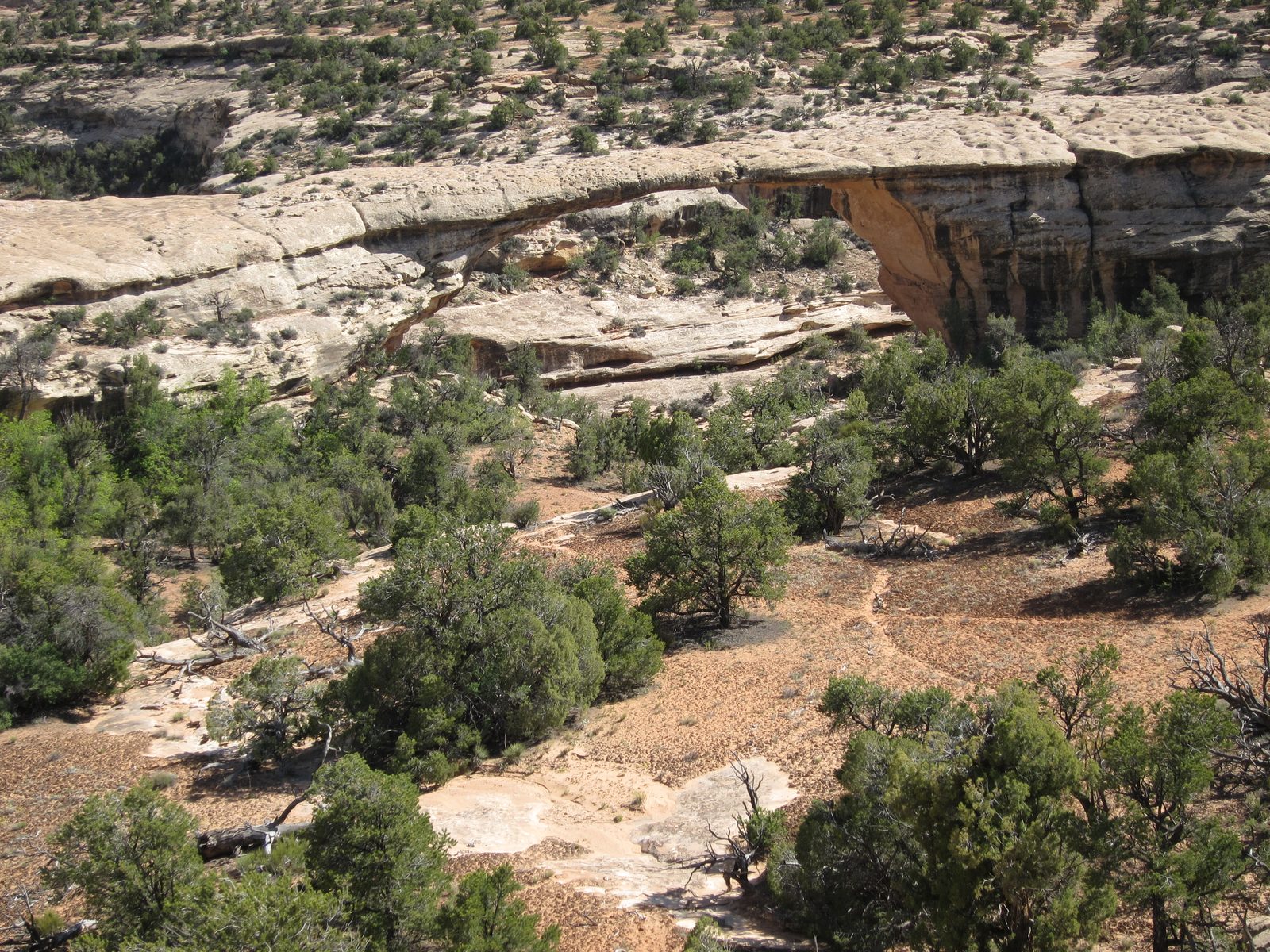 Also at Natural Bridges, showing the path down to the largest one ... which we didn't attempt